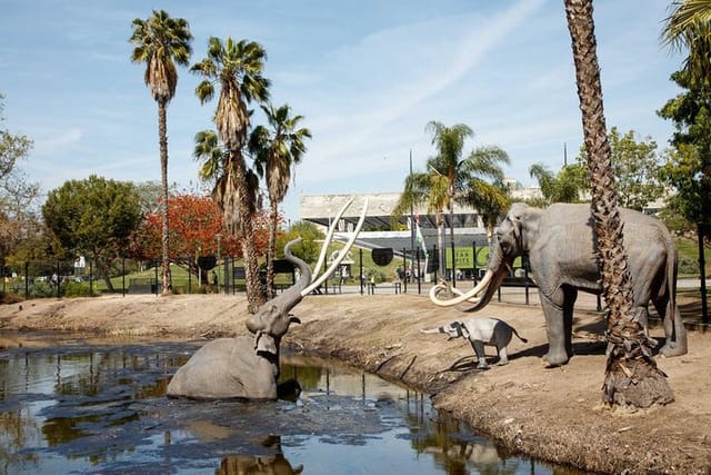 Tar Pits in the Park